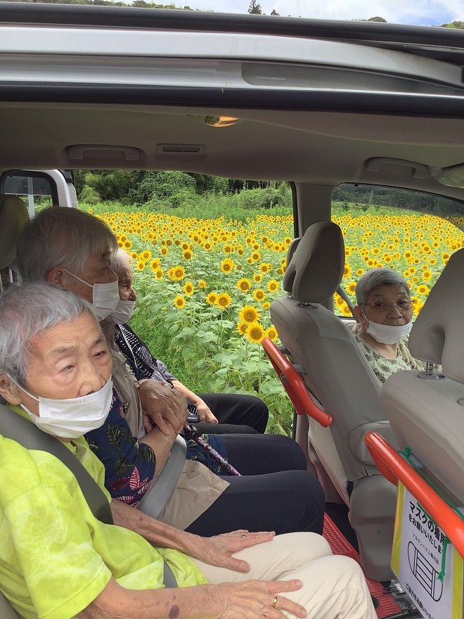 ひまわり②.JPG