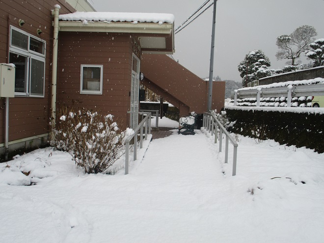 2025積雪 (2).JPG